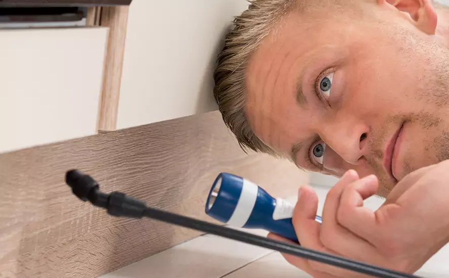 Top-Notch Pest Control in Costa Mesa