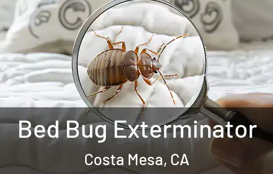 Bed Bug Exterminator Costa Mesa, CA