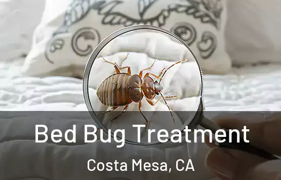  Bed Bug Treatment Costa Mesa, CA