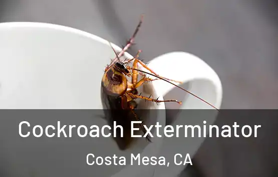  Cockroach Exterminator Costa Mesa, CA