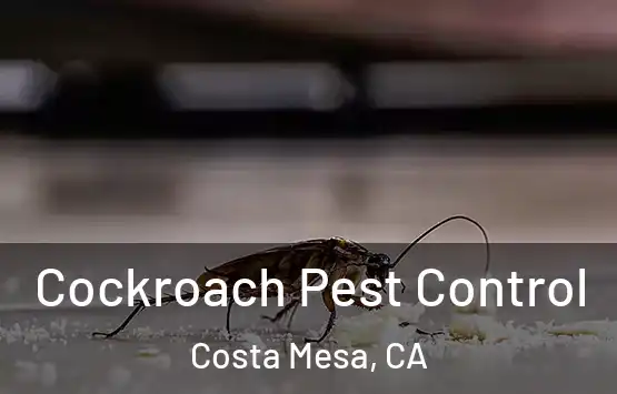  Cockroach Pest Control Costa Mesa, CA