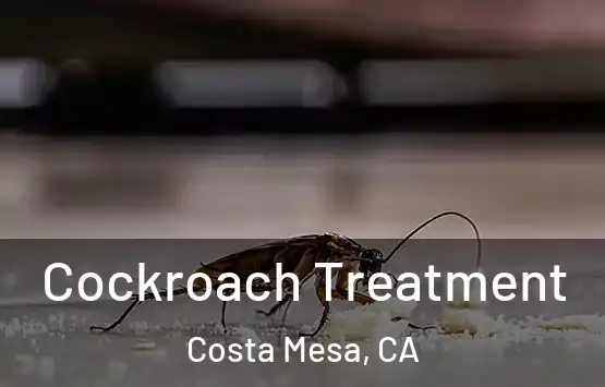  Cockroach Treatment Costa Mesa, CA