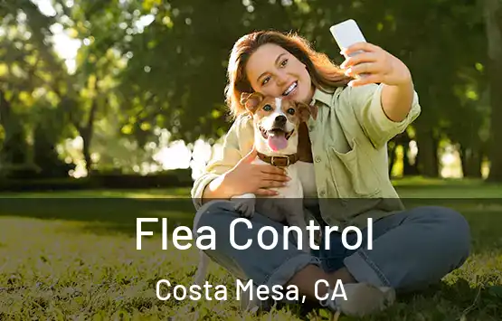  Flea Control Costa Mesa, CA
