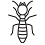 Termites Pest Control Costa Mesa, California