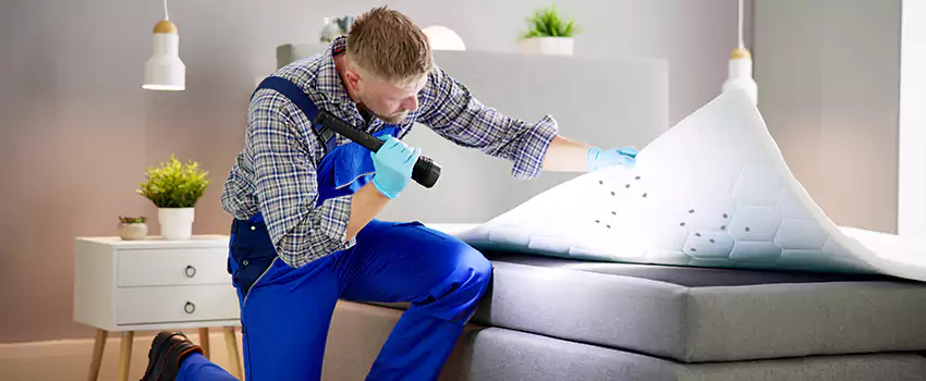 bed-bug-treatment in Costa Mesa, CA