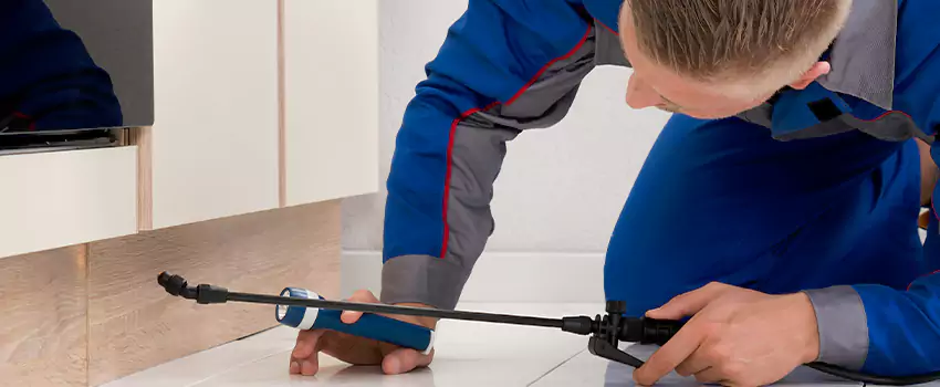 Commercial Pest Control for Offices in Costa Mesa, CA