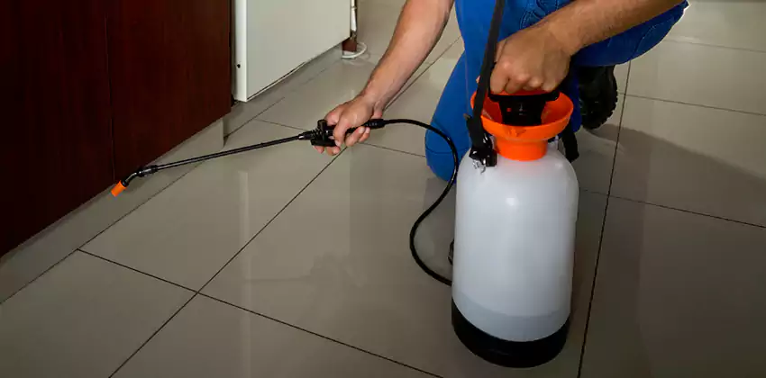 Commercial Pest Extermination for Offices in Costa Mesa, CA