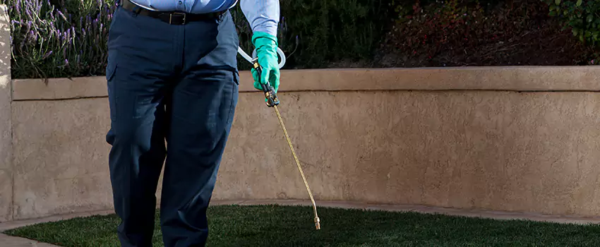 Emergency Pest Extermination for Children and Pets Costa Mesa, CA