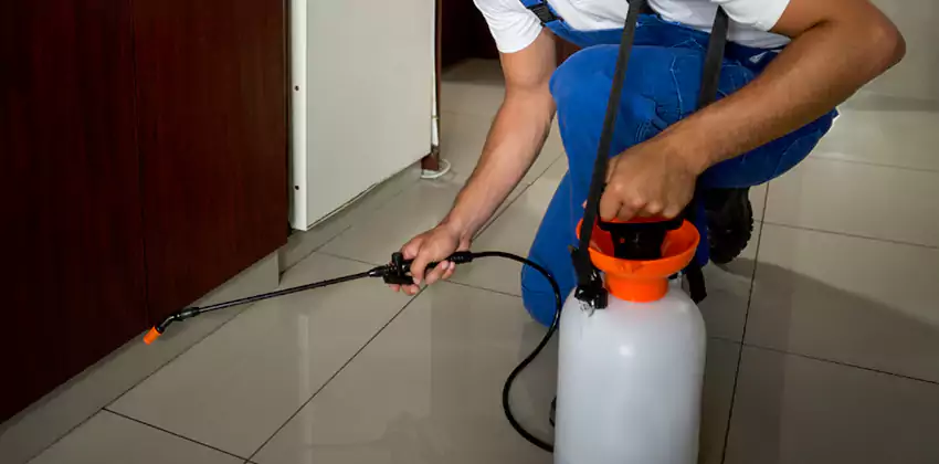 Commercial Flea Exterminator Company in Costa Mesa, CA