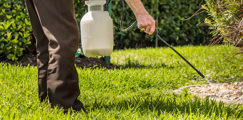 Grub Treatment for Bedrooms Costa Mesa, CA