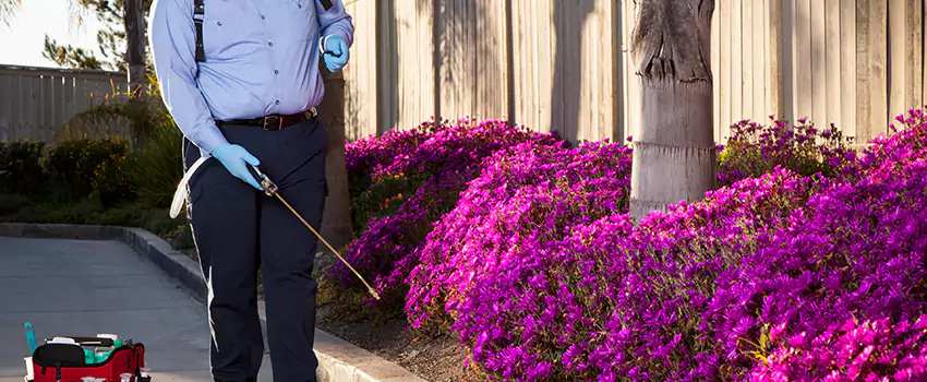 Commercial Mosquito Control Services in Costa Mesa, CA