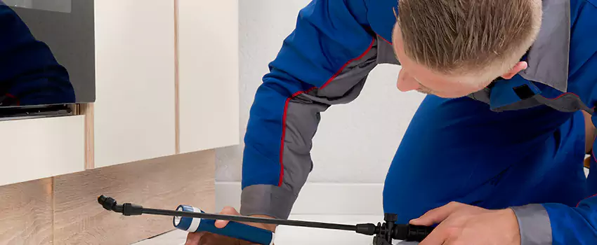 Termite Control for Children and Pets in Costa Mesa, CA