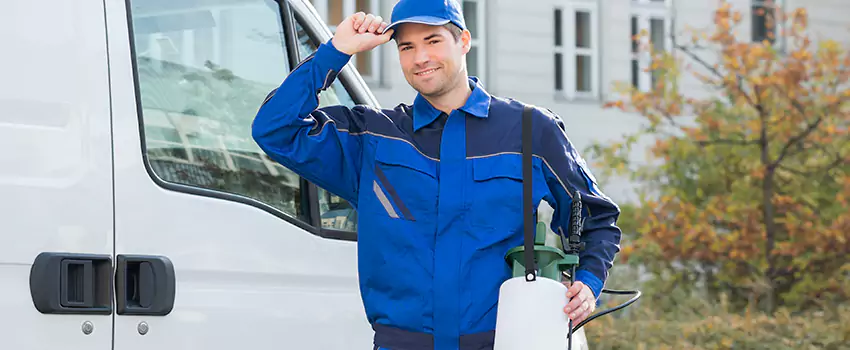 Whitefly Treatment for Bedrooms Costa Mesa, CA