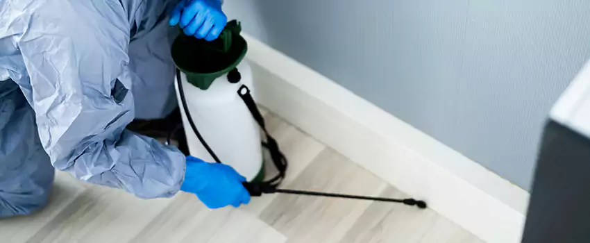 cockroach-exterminator in Costa Mesa, CA