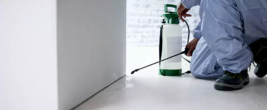 residential-pest in Costa Mesa, CA