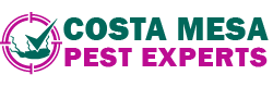 Costa Mesa Pest Experts