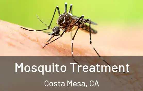  Mosquito Treatment Costa Mesa, CA