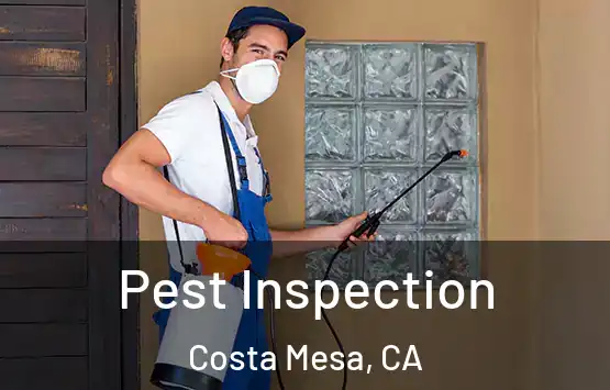  Pest Inspection Costa Mesa, CA