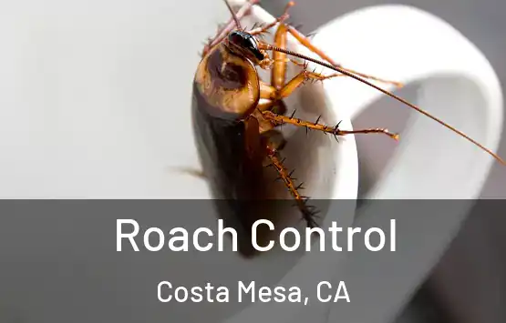  Roach Control Costa Mesa, CA