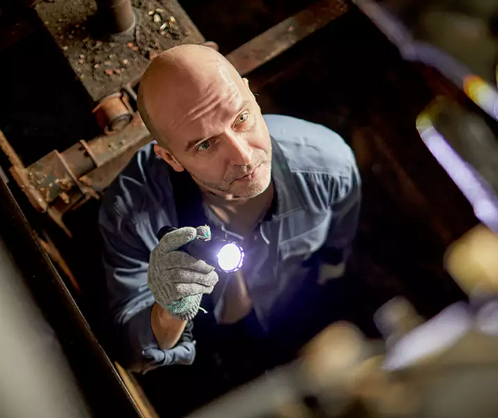 About Pest Inspection Costa Mesa