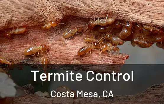  Termite Control Costa Mesa, CA