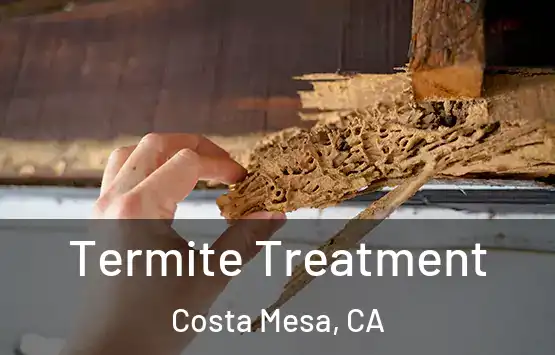  Termite Treatment Costa Mesa, CA