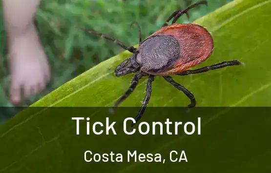  Tick Control Costa Mesa, CA