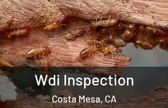  Wdi Inspection Costa Mesa, CA